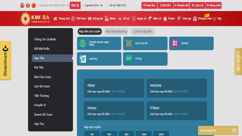 Kênh Giải Trí Hỗ Trợ Đa Dạng Phương Thức Thanh Toán 24/24